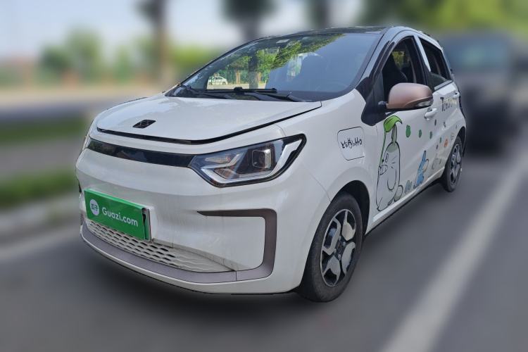 Used SOL E10X 2022 Flower Fairy Style Baby's Breath