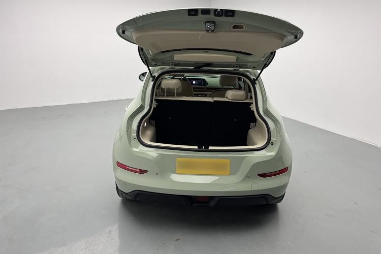 Used ORA Good Cat 2023 401 km Standard Range Luxury Version Lithium Iron Phosphate