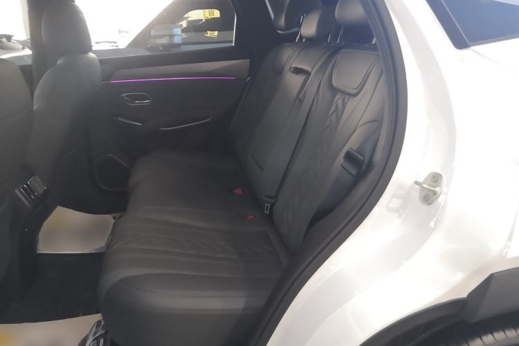 Used BYD Song L DM-i 2025 Intelligent Driving Version 160 km Beyond-Range Type Left Rear Seat