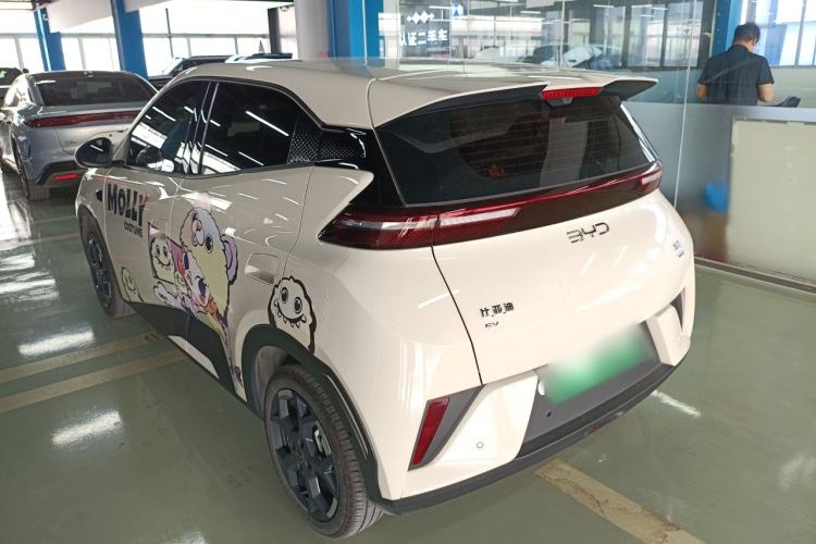 Used BYD Seagull 2025 Smart Drive Version 305 km Freedom Edition