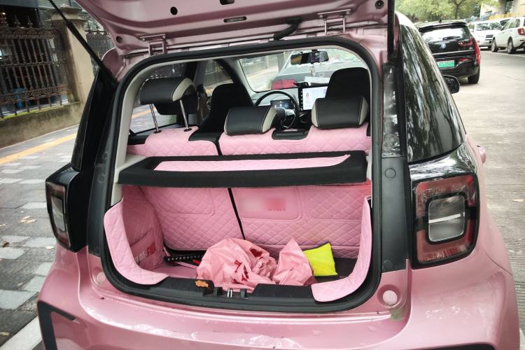 Used SOL E10X 2022 Flower Fairy Style Baby's Breath