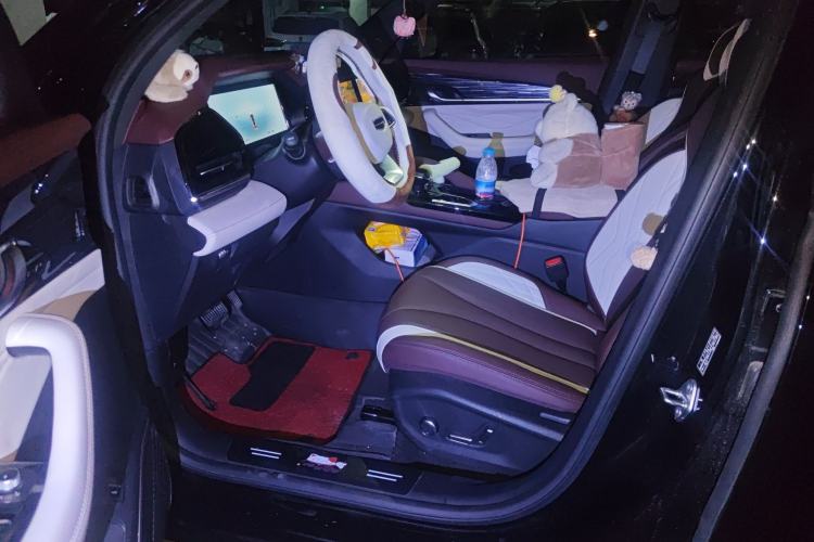 Used Geely Auto Monjaro L 2024 2.0TD High-Power Automatic Two-Wheel Drive Yunqi Version Left Front Seat