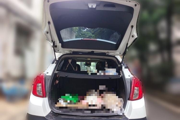 Used Buick Encore 2014 1.4T Automatic Two-Wheel Drive Urban Elite Model Trunk