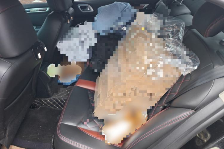 Used Citroen C4L 2015 1.2T Automatic Luxury Edition Left Rear Seat