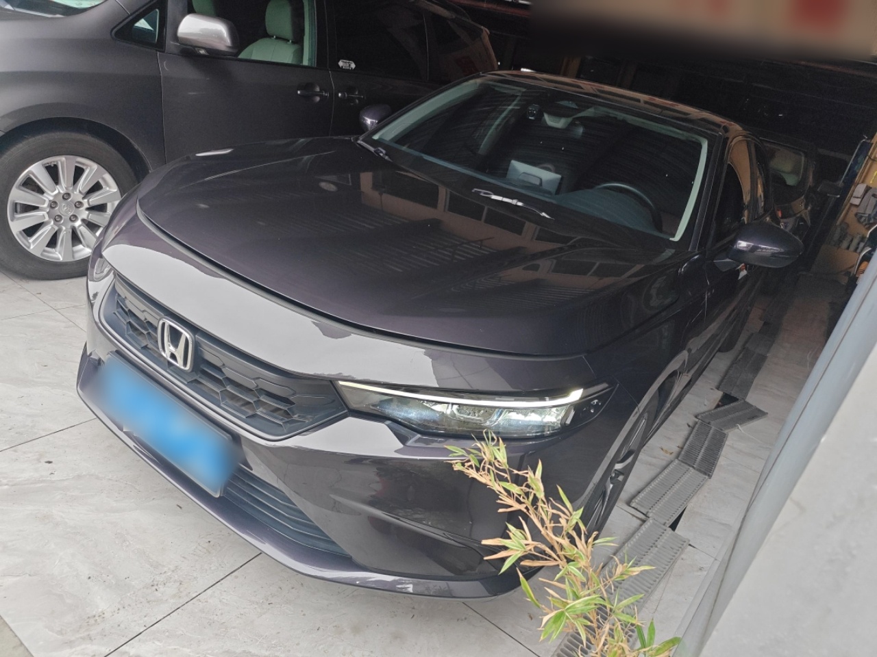 تحت مقدمة السيارة