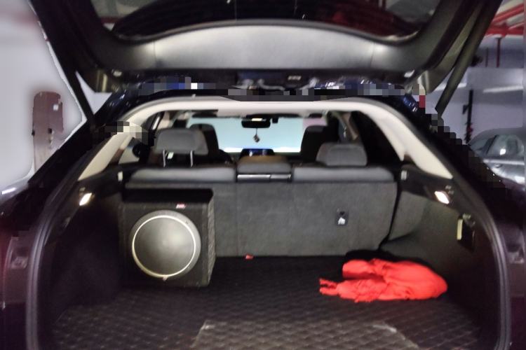 Used Lexus RX 2020 Revised Version 300 Two-Wheel Drive Elite Edition
