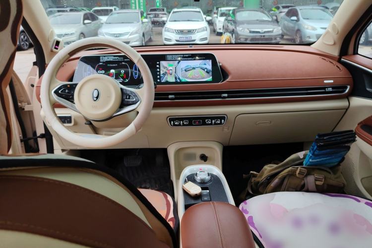 Used ORA Good Cat 2022 Morandi Edition 400km Standard Range Premium Version Lithium Iron Phosphate
