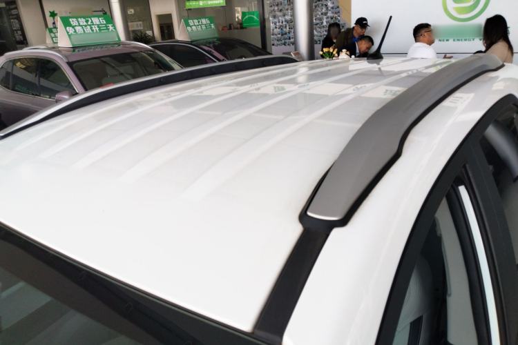 Used BYD Yuan Pro 2021 "Love for a Lifetime" Edition