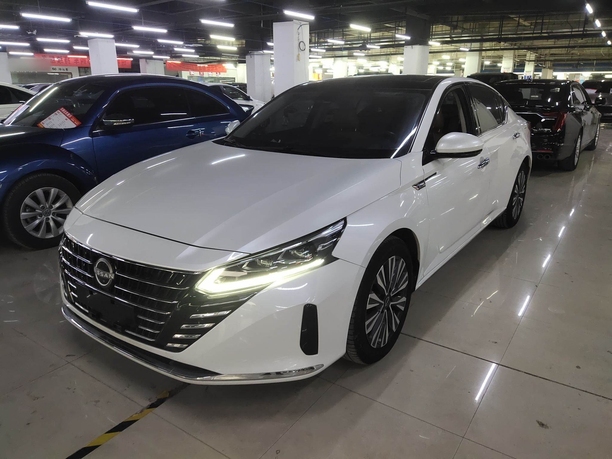 تحت مقدمة السيارة