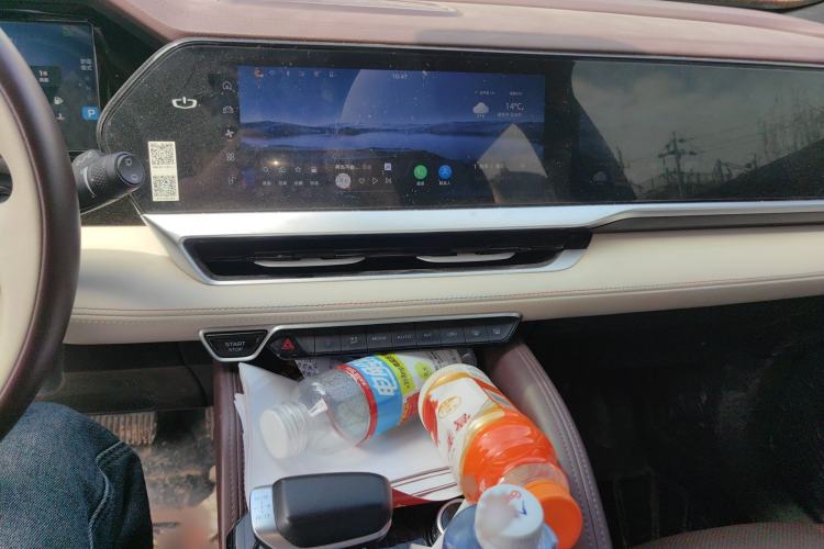 Used Geely Auto Monjaro L 2021 2.0TD DCT EVO Two-Wheel Drive Prestige Version Audio And AC Panel