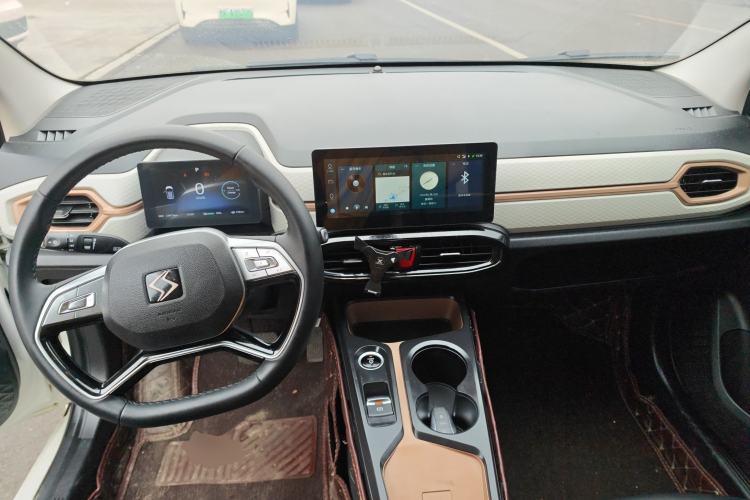 Used SOL E10X 2022 Flower Fairy Style Baby's Breath