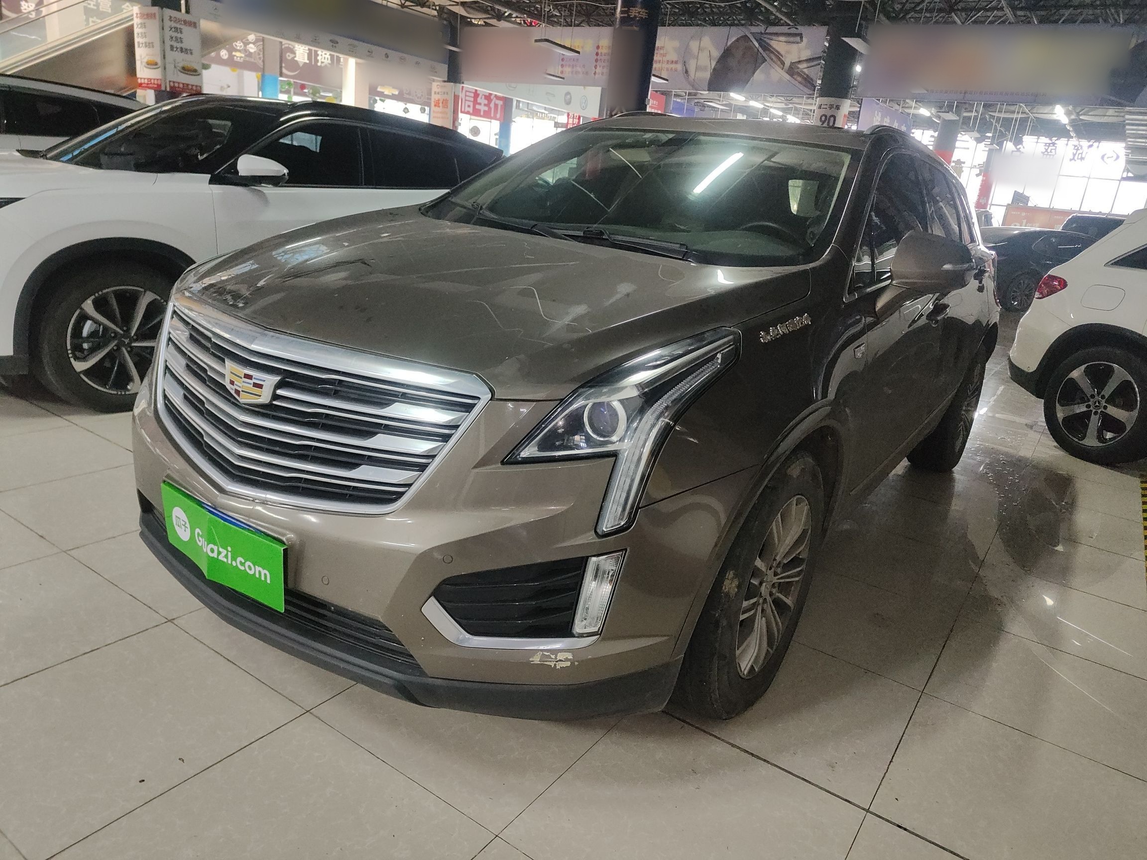 Parte inferior delantera