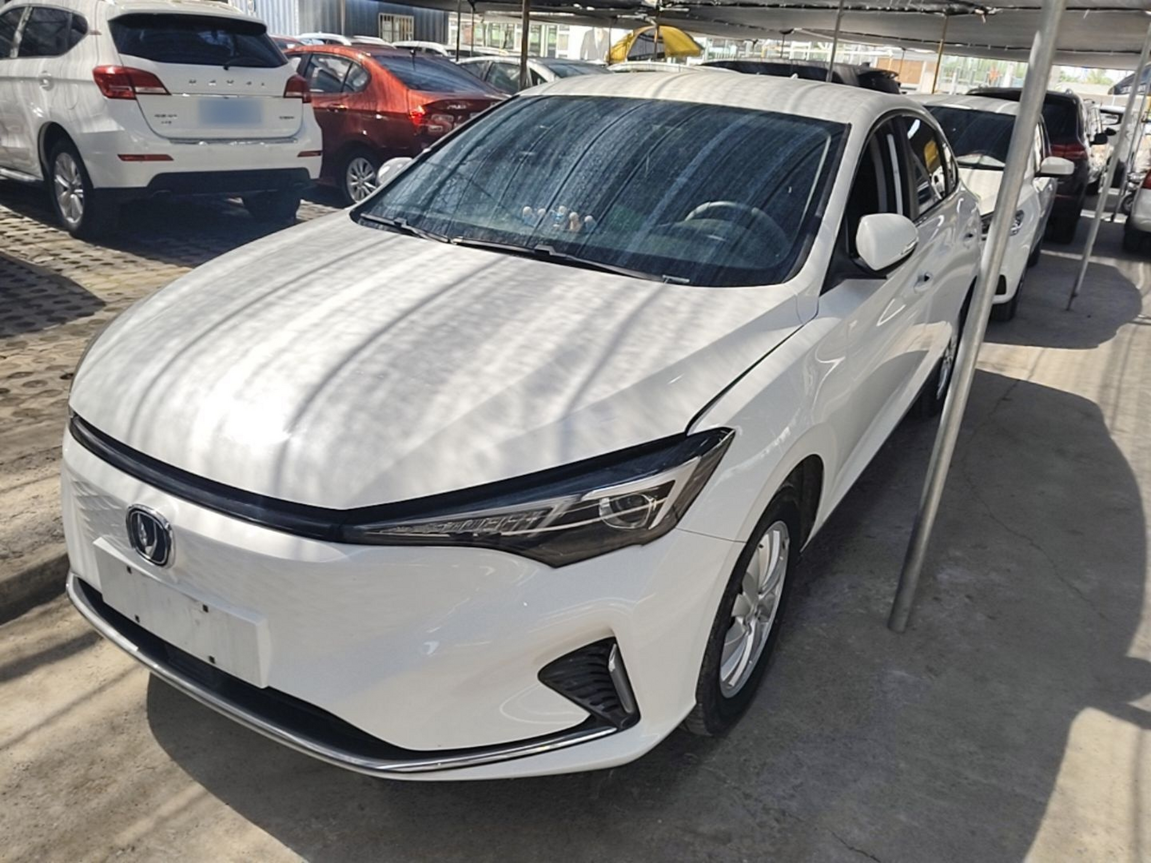 Under Front Bumper