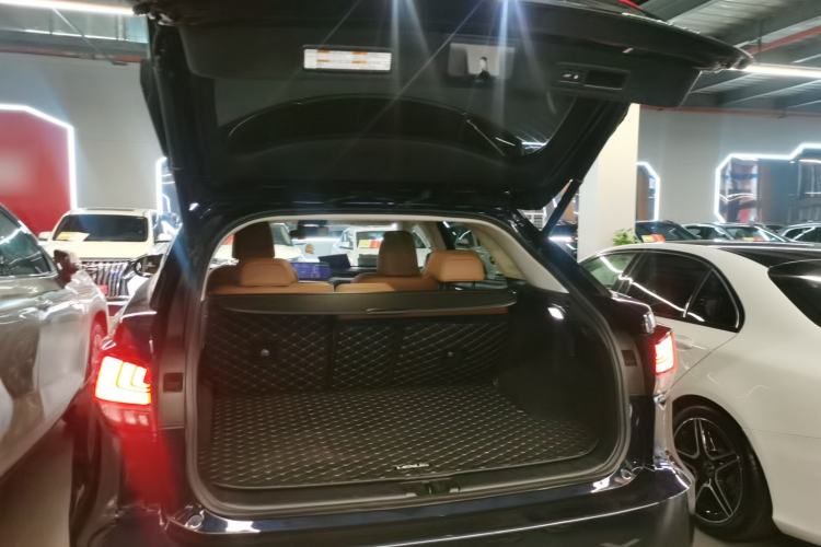 Used Lexus RX 2020 300 4x4 Elegant Edition China VI
