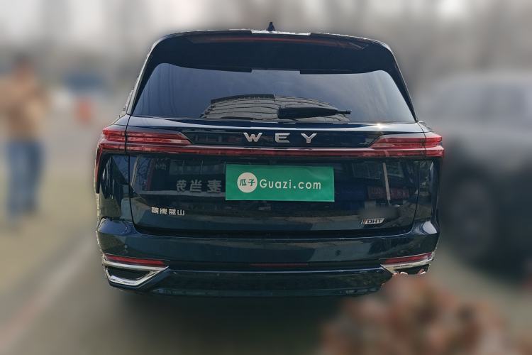 Used Wey Lanshan 2023 Four-Wheel Drive Ultra-Long Range Version Rear