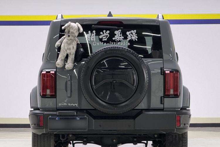 Used Tank 300 2023 City Edition 2.0T—Stylish as Ever