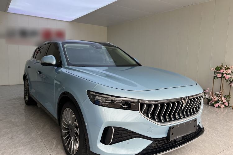 Used VOYAH FREE 2021 Four-Wheel Drive Standard Range-Extended Exclusive Luxury Package
