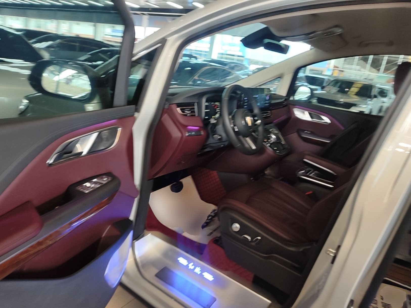 Hongqi HQ9 2023 2.0T Smart Connect Flagship Edition - Chinese Trim Xiang — снимка 18