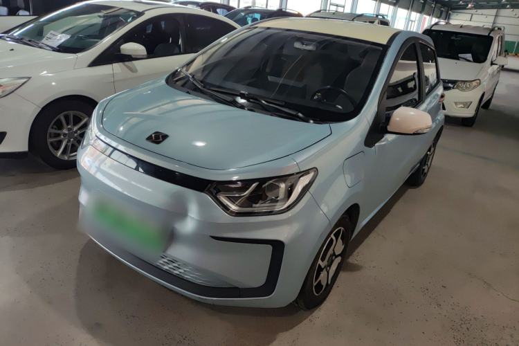 Used SOL E10X 2022 Flower Fairy Style Baby's Breath