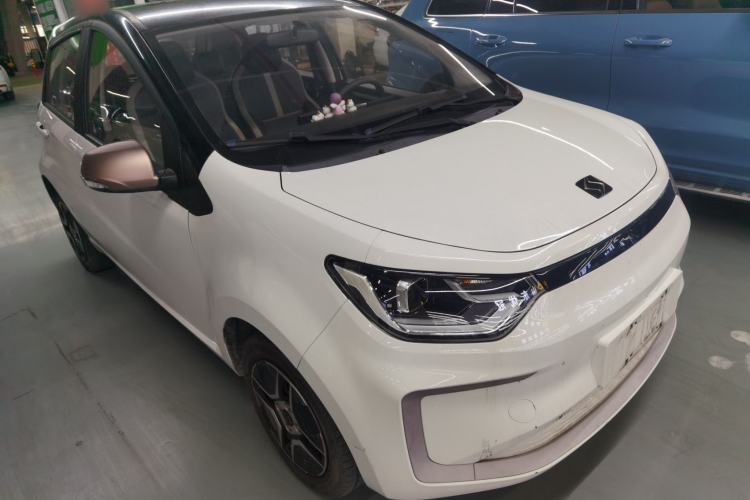 Used SOL E10X 2022 Flower Fairy Design Four-Leaf Clover
