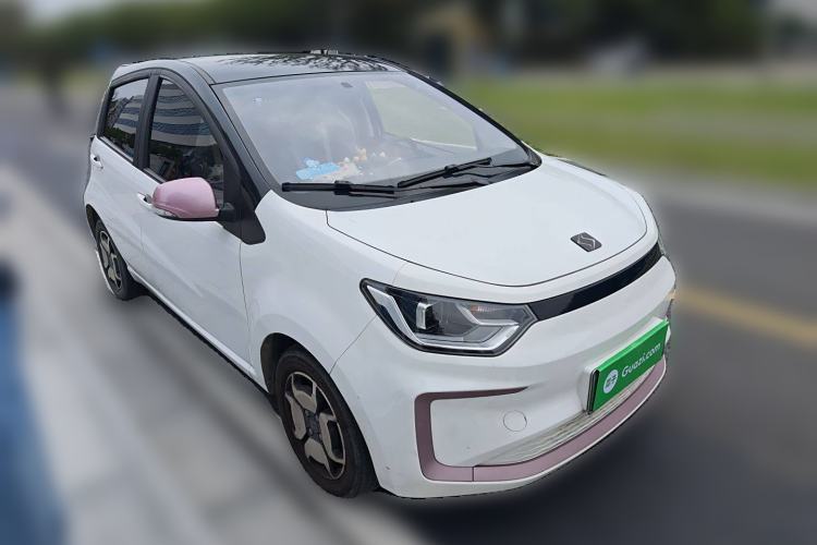 Used SOL E10X 2022 Flower Fairy Style Baby's Breath