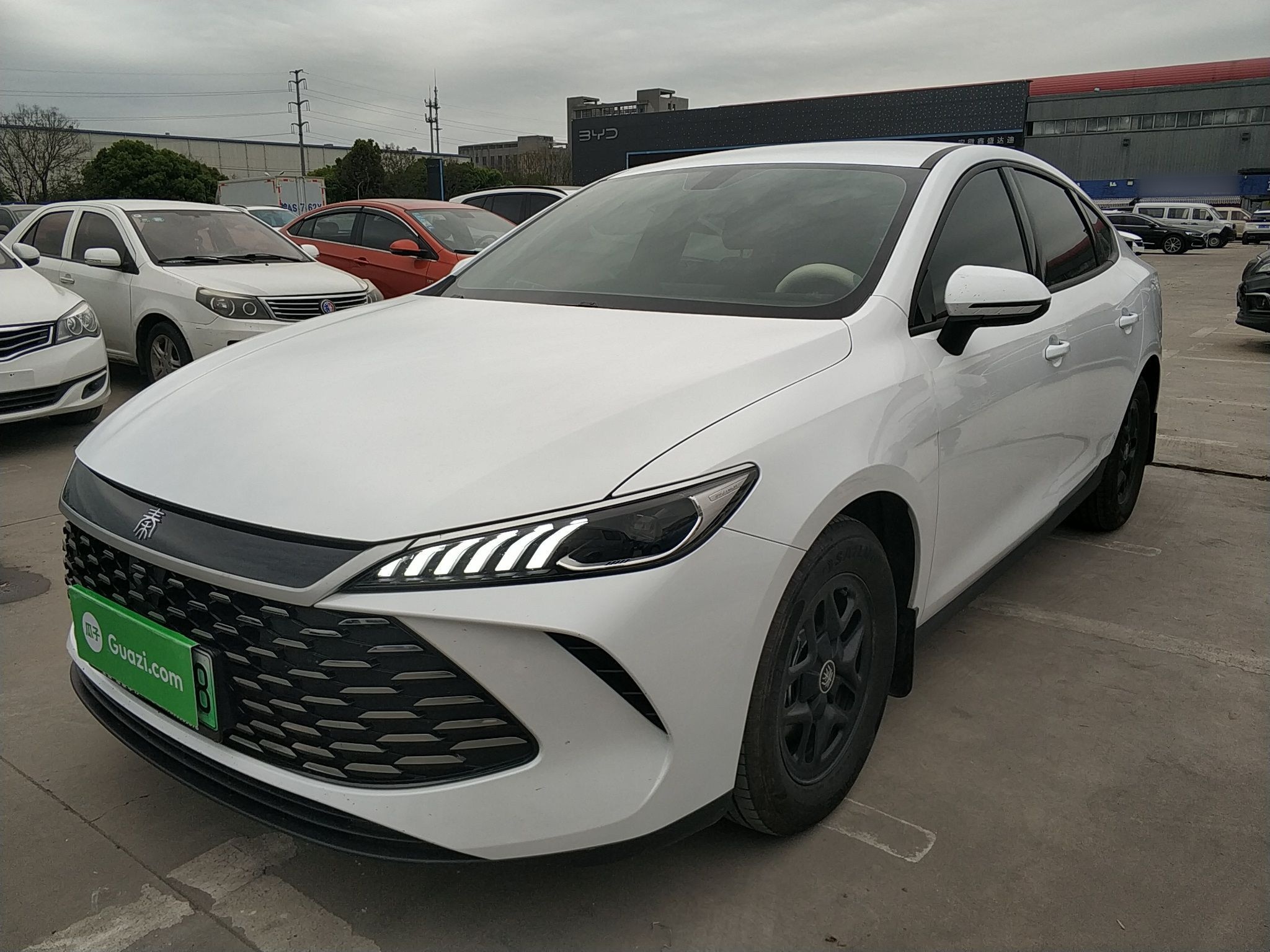 Parte inferior delantera