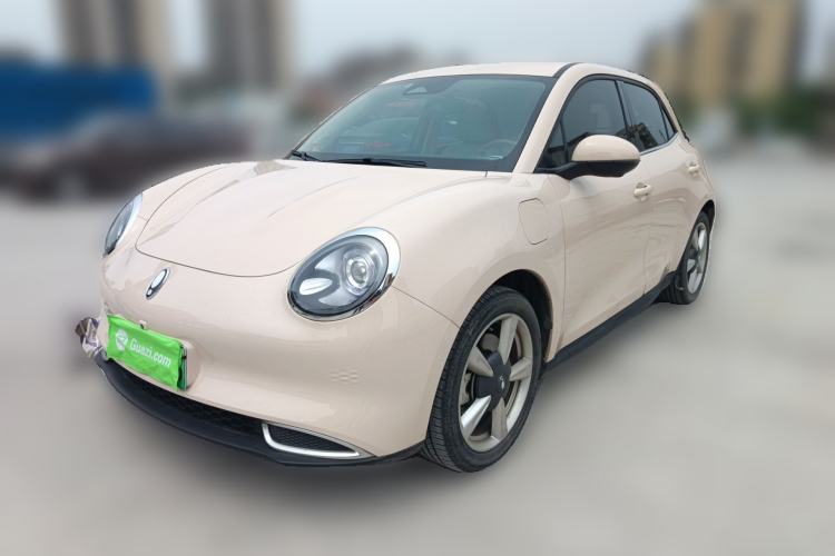 Used ORA Good Cat 2023 401 km Standard Range Luxury Version Lithium Iron Phosphate