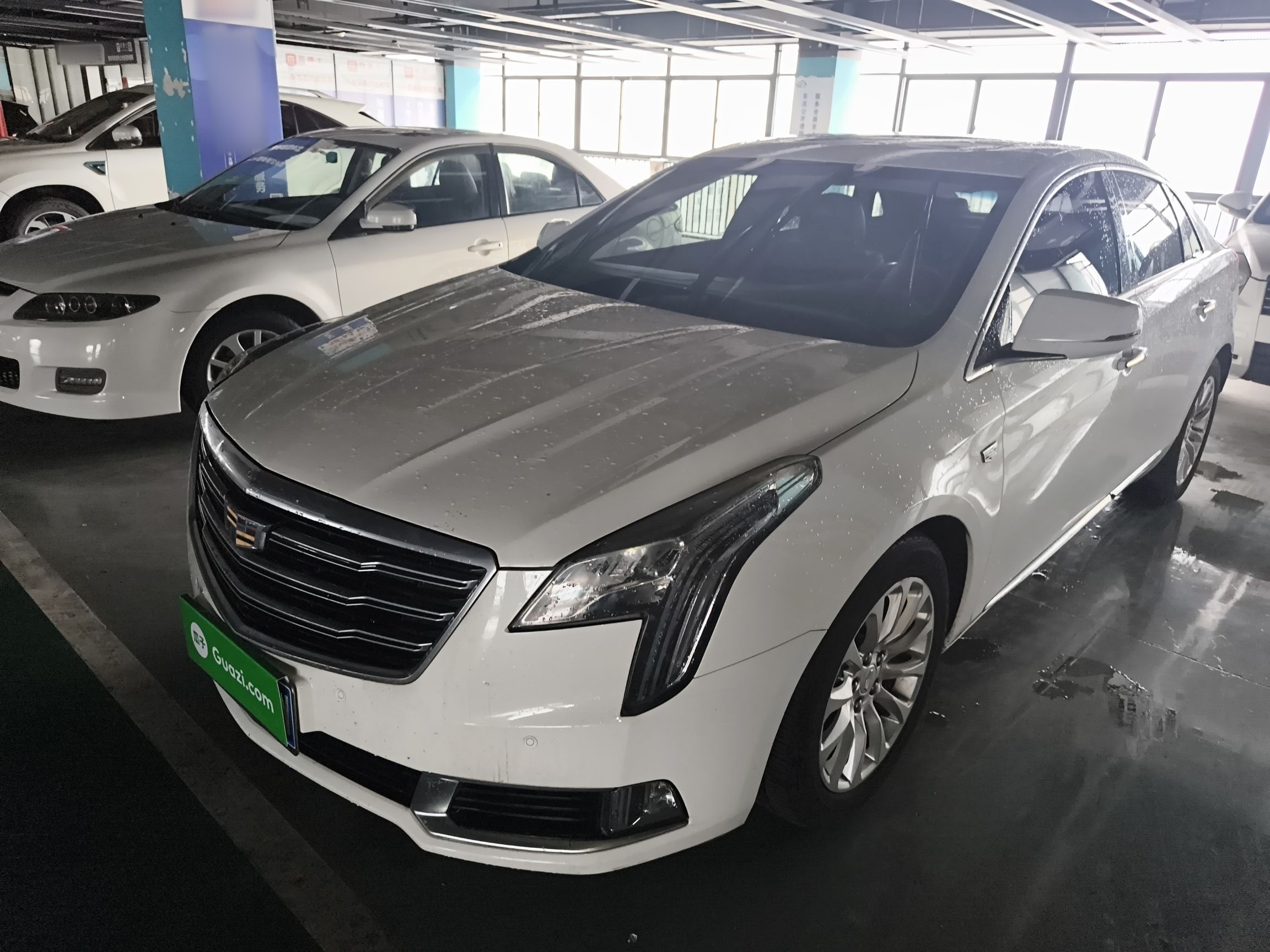 Parte inferior delantera