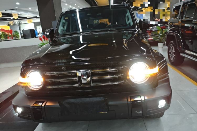 Used Tank 300 2024 2.0T Crosser
