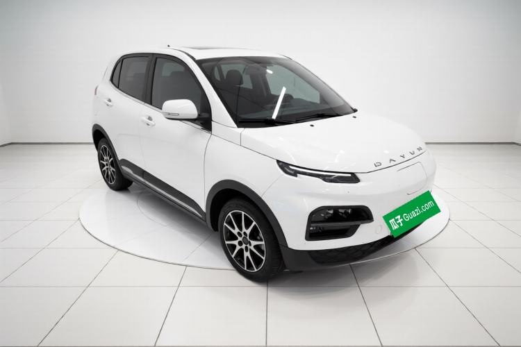 Used Dayun Yuehu 2021 32.85 kWh Two-Wheel-Drive Sprite Version