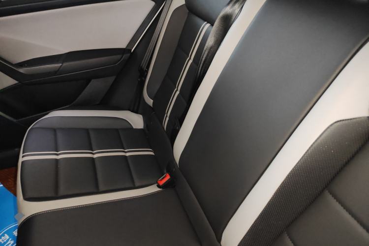 Used Volkswagen T-ROC 2023 300TSI DSG Two-Wheel-Drive Chen Guang Edition
