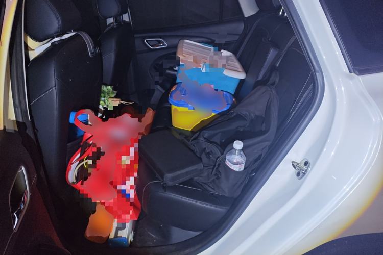 Used Roewe Ei5 2019 Luxury Edition Left Rear Seat