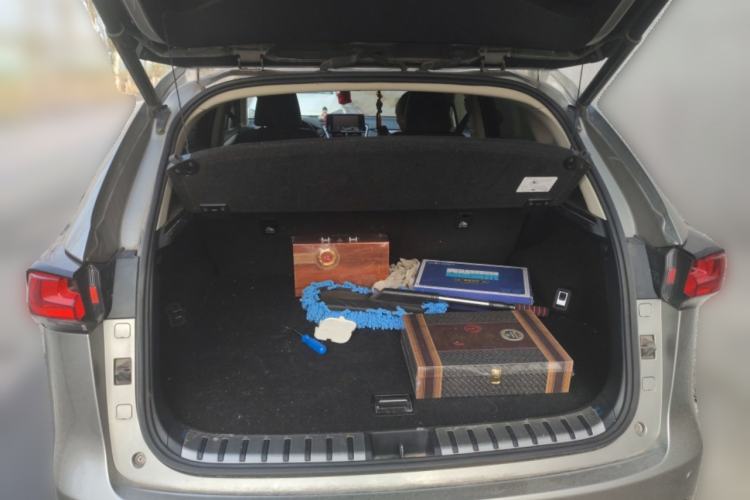 Used Lexus NX 2020 200 All-Wheel Drive Fēngshàng Version China VI Standard
