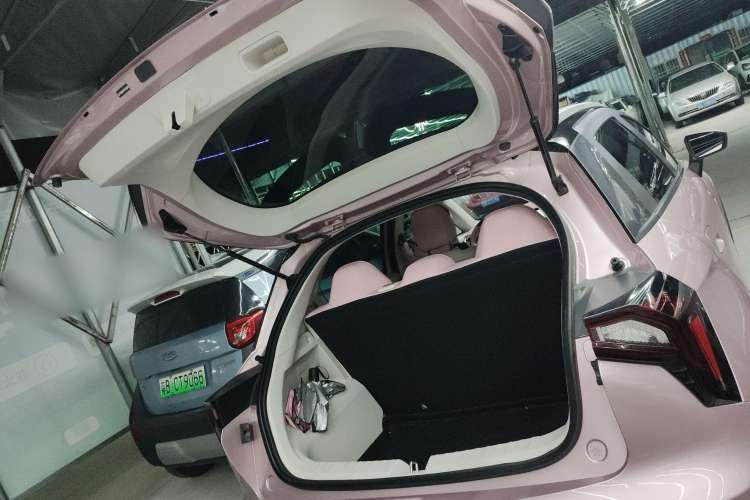 Used Geometry E Firefly 2023 401 km Super-Liked Special Edition 5 Seats