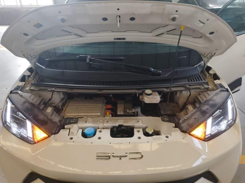 Used BYD Seagull 2023 Flying Edition — 19