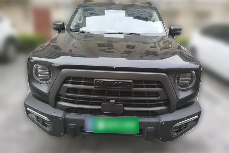 Used Haval DARGO 2024 2.0T DCT Chinese Rural Dog Edition
