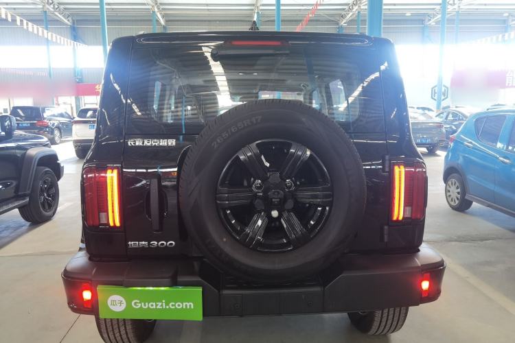 Used Tank 300 2025 2.0T Conqueror
