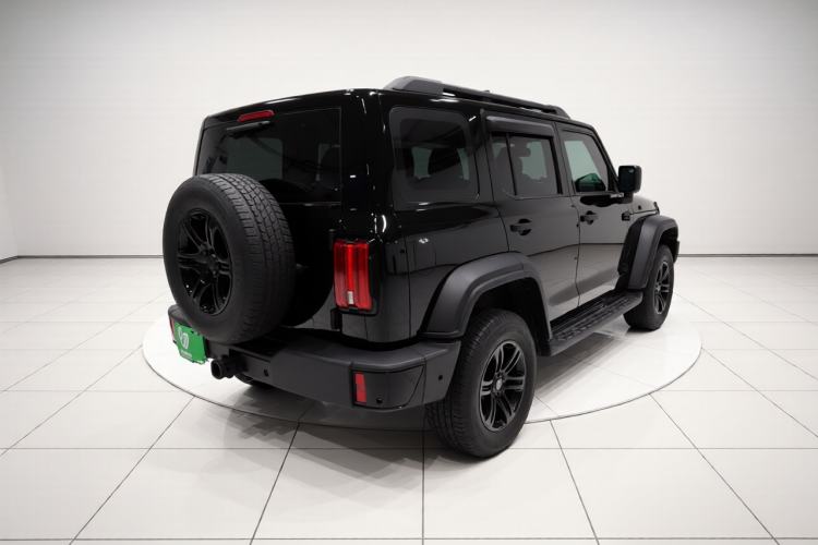 Used Tank 300 2025 2.4T Diesel Version