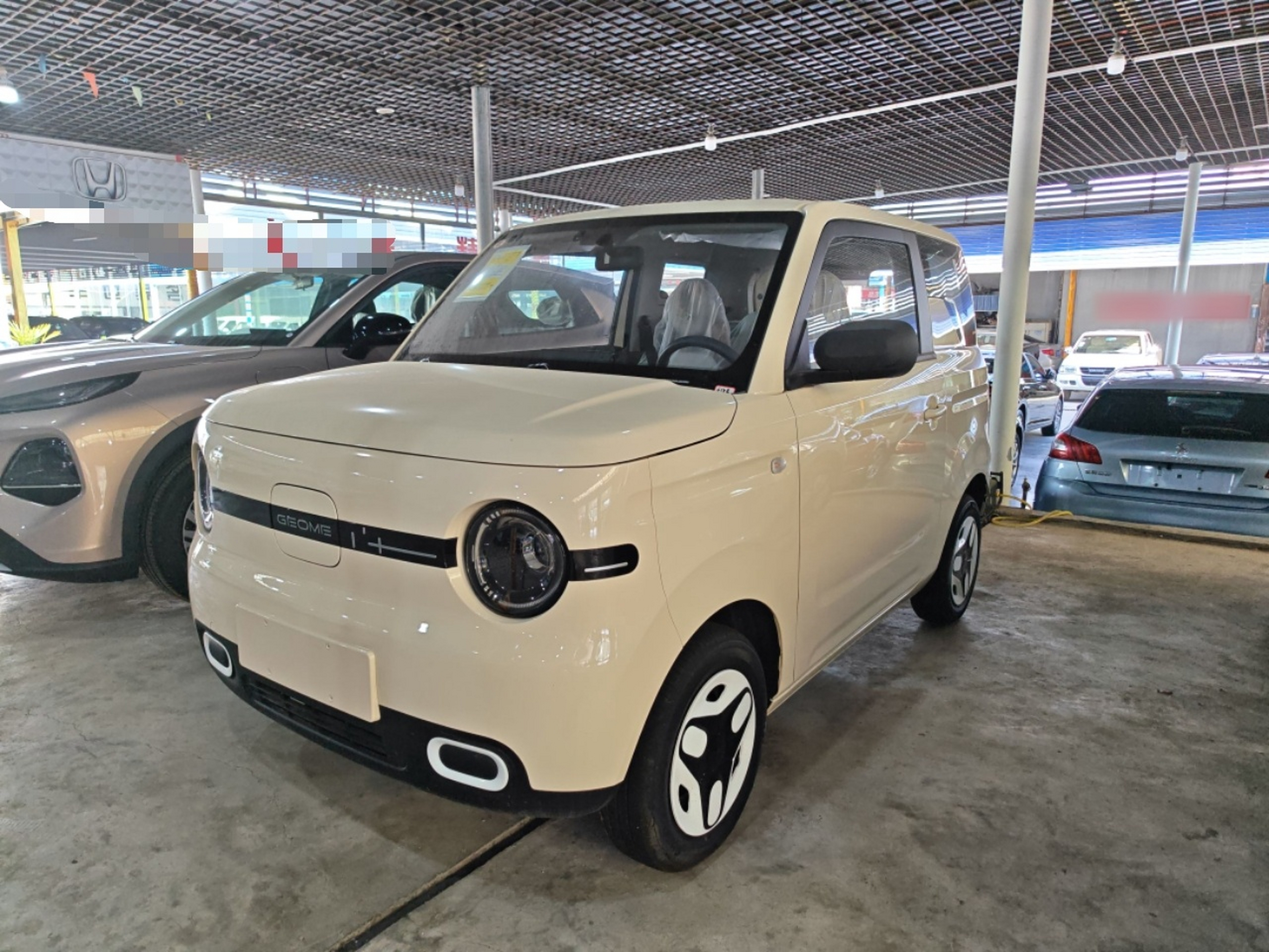 Parte inferior delantera