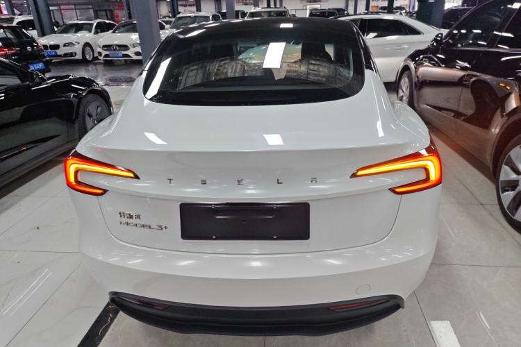 Used Tesla Model 3 2023 Long-Range All-Wheel-Drive Version Rear