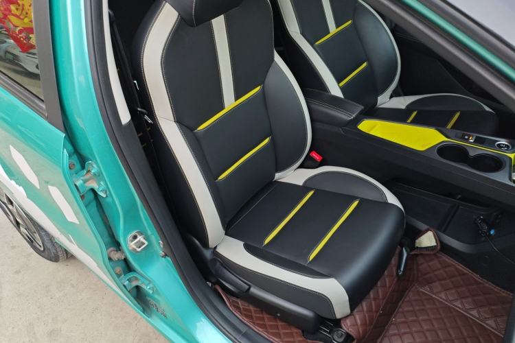 Used SOL E10X 2022 Flower Fairy Design Four-Leaf Clover Right Front Seat