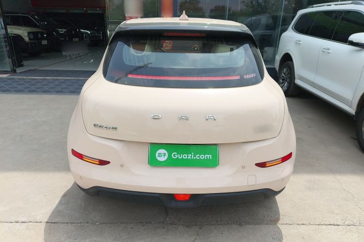Used ORA Good Cat 2024 401 km Luxury Version Rear