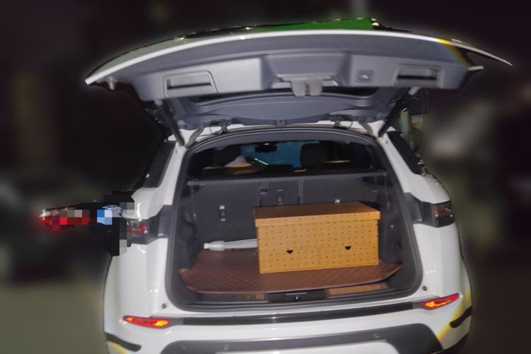 Used Land Rover Range Rover Evoque 2020 249 PS Youth Edition