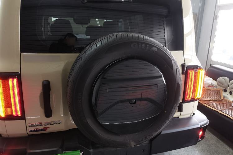 Used Tank 300 New Energy 2025 Hi4-T