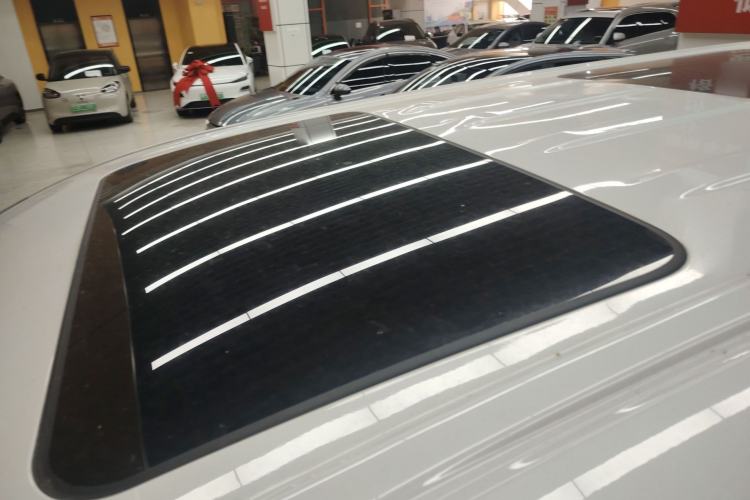 Used Wey Gaoshan 2023 Four-Wheel Drive Flagship Edition Roof