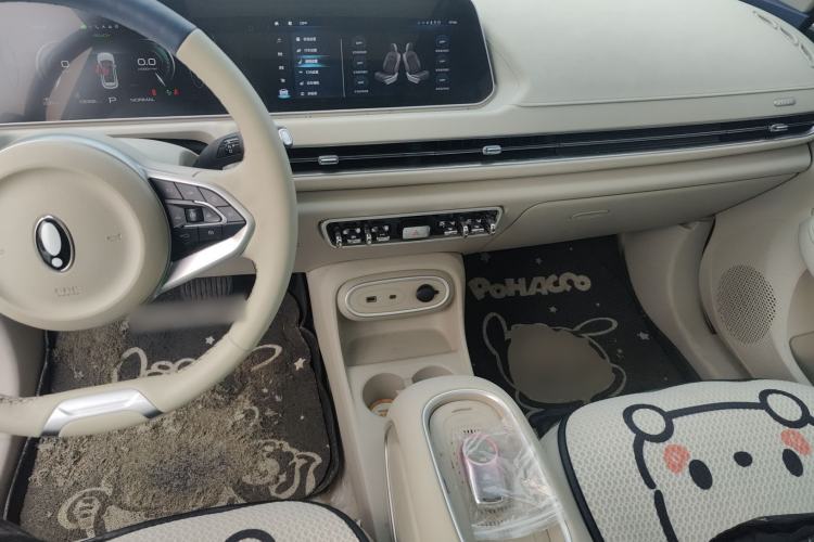 Used ORA Good Cat 2024 401 km Luxury Version 126 kW Center Console