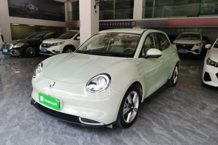 Used ORA Good Cat 2023 401 km Standard Range Luxury Version Lithium Iron Phosphate