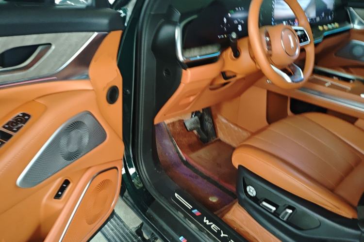 Used Wey Lanshan 2023 Four-Wheel Drive Ultra-Long Range Version Driver Seat