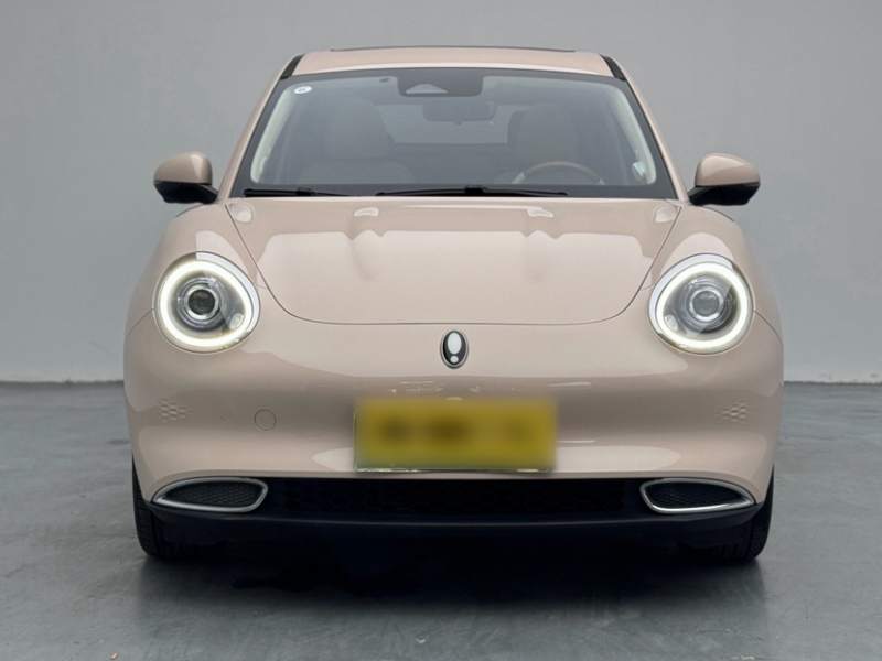 Used ORA Good Cat 2022 400km Standard Range Premium Version Lithium Iron Phosphate — 34