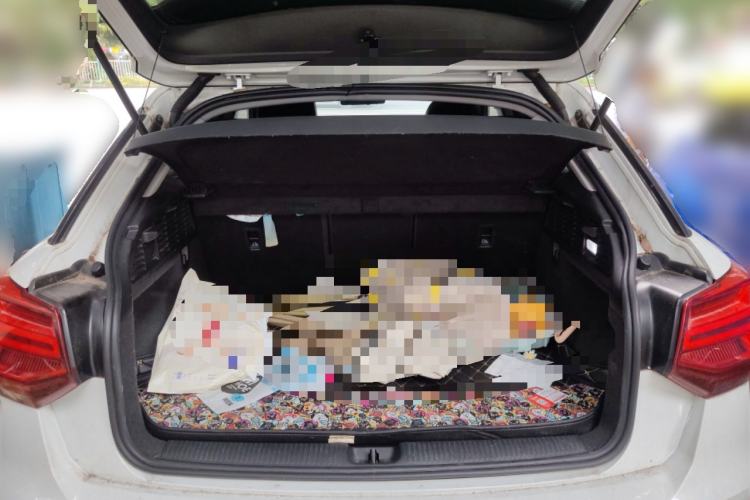 Used Audi Q2L e-tron 2019 Q2L e-tron Pure Electric Smart Style
